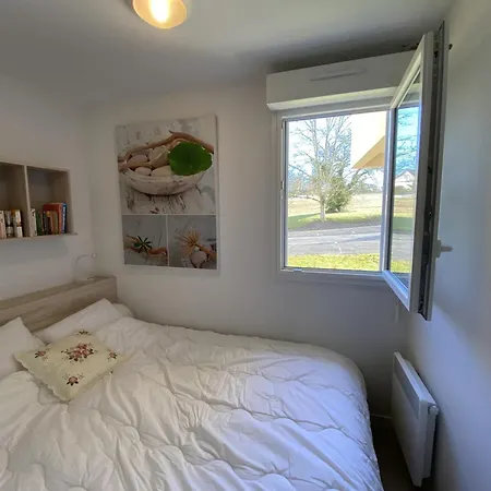 Appartement Avec Wifi Et Animaux Acceptés, Proche Des Thermes à - Fr-1-541-113 La Roche-Posay