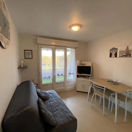 Appartement Avec Wifi Et Animaux Acceptés, Proche Des Thermes à - Fr-1-541-113