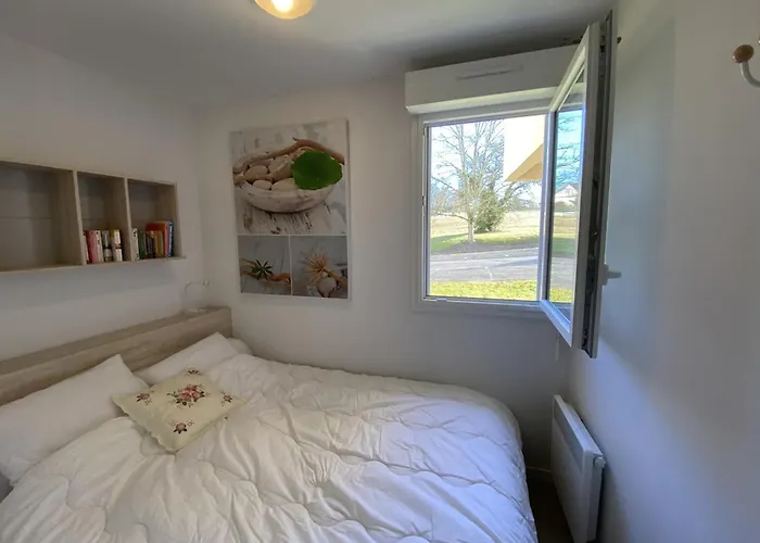 Apartamento Avec Wifi Et Animaux Acceptés, Proche Des Thermes à - Fr-1-541-113 La Roche-Posay