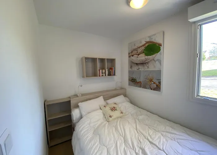 Apartamento Avec Wifi Et Animaux Acceptés, Proche Des Thermes à - Fr-1-541-113