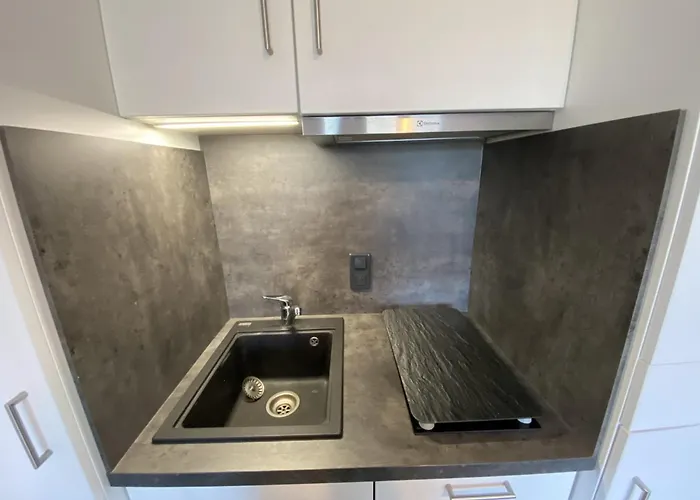 Avec Wifi Et Animaux Acceptés, Proche Des Thermes à - Fr-1-541-113 Apartamento